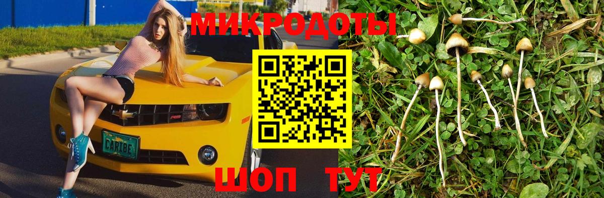 Галлюциногенные грибы ЛСД  Вход с VPN  Галлюциногенные грибы мицелий  Горно-Алтайск 